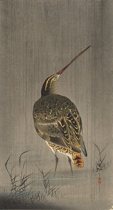 Snipe - Japanese Print