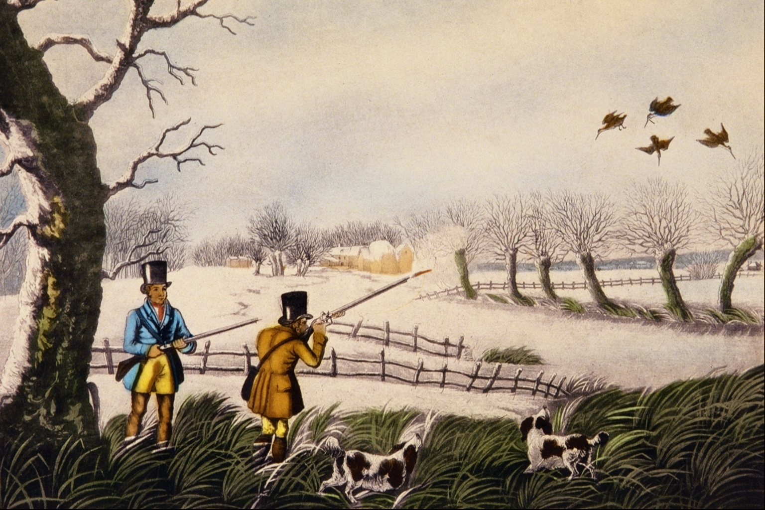 Snipe_Shooting_near_Uxbridge_-_Robert_Havell