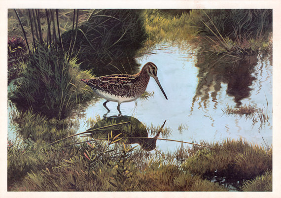 snipe-painting
